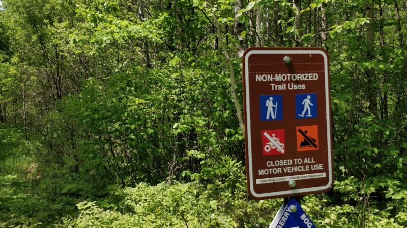 Blueberry Bog Trail - Pine River, MN
