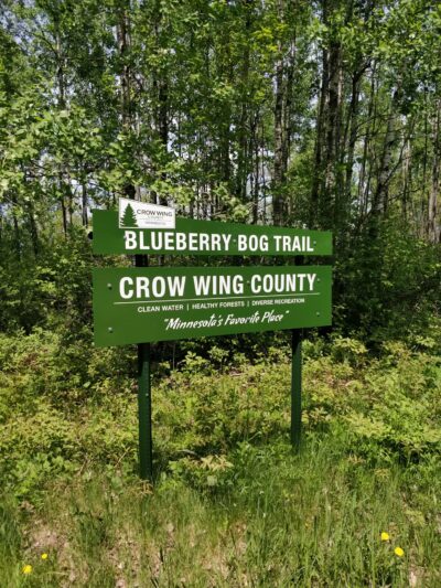 Blueberry Bog Trail - Pine River, MN