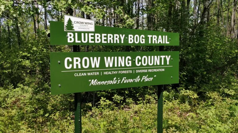 Blueberry Bog Trail - Pine River, MN