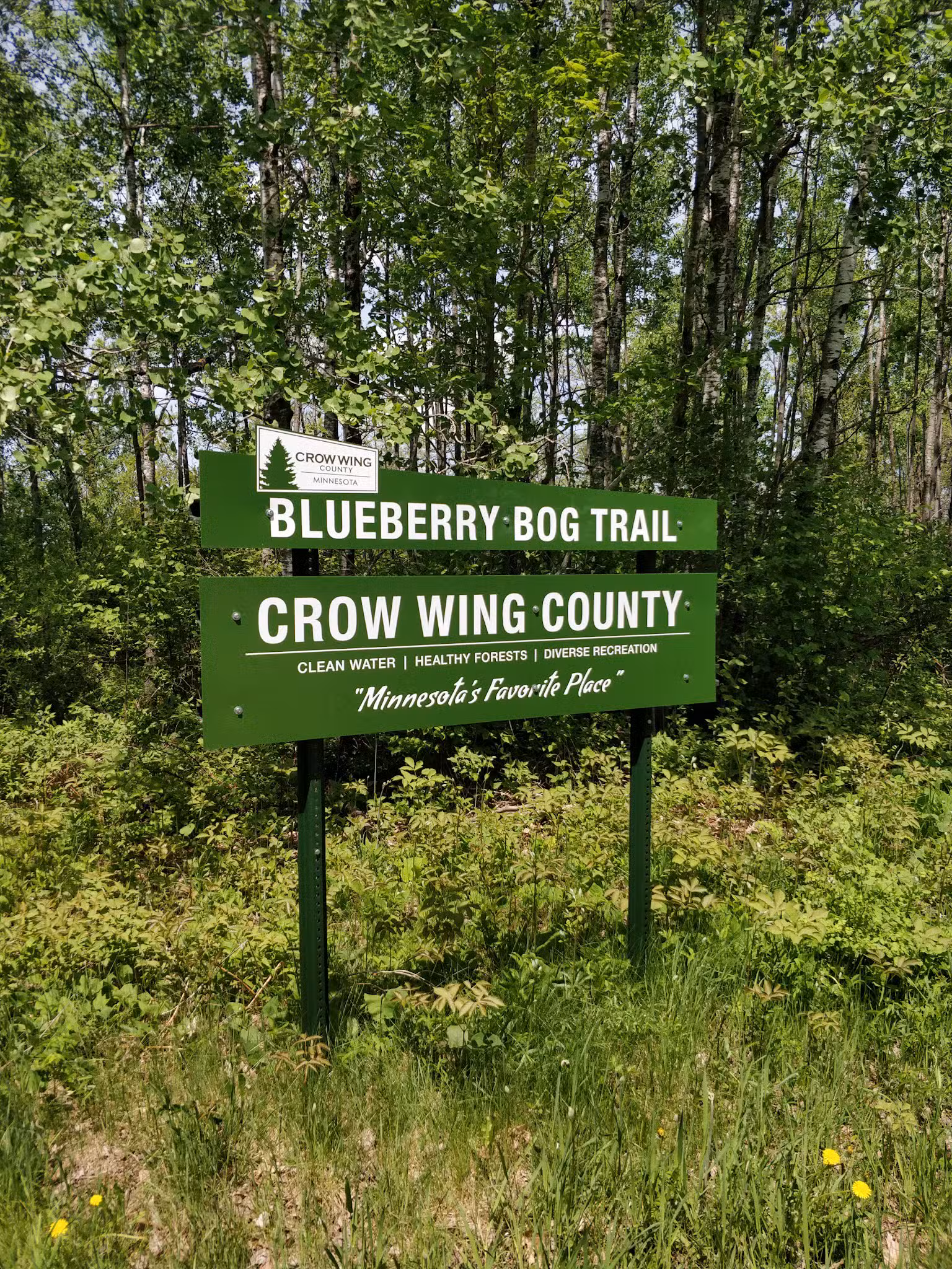 Blueberry Bog Trail - Pine River, MN