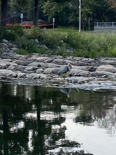 Pine River Beach - Pine River, MN
