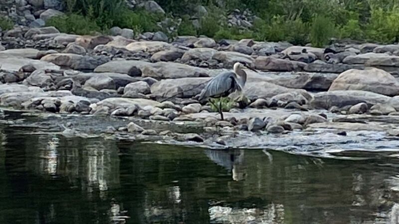 Pine River Beach - Pine River, MN