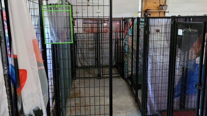 Pinewood Lane Pet Resort - Pine River, MN