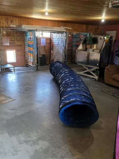 Pinewood Lane Pet Resort - Pine River, MN