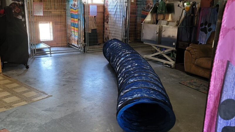 Pinewood Lane Pet Resort - Pine River, MN