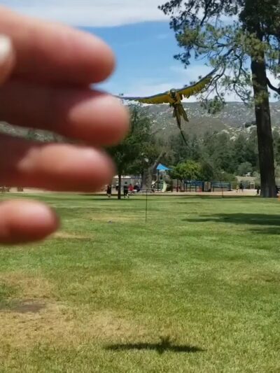 Pine Valley County Park - Pine Valley, CA