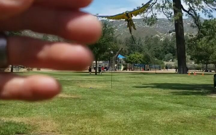 Pine Valley County Park - Pine Valley, CA