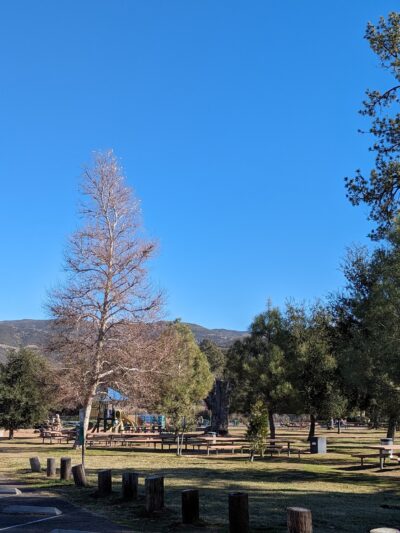 Pine Valley County Park - Pine Valley, CA