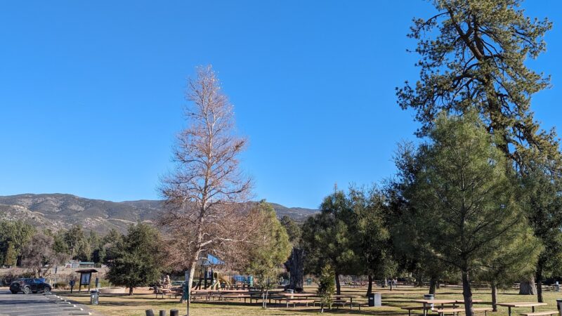 Pine Valley County Park - Pine Valley, CA