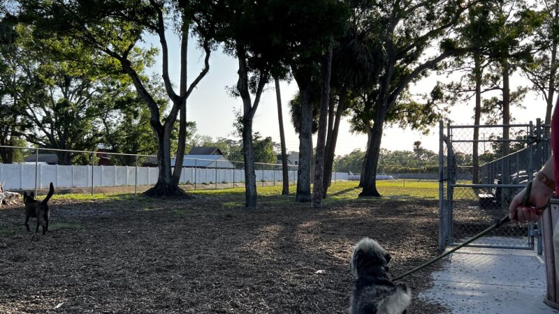 Broderick Dog Park - Pinellas Park, FL