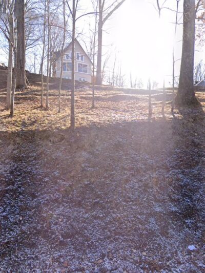 Boone Wood Kennel - Piney Flats, TN