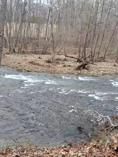 Virginia Blue Ridge Railway Trail (Piney River Trailhead) - Piney River, VA