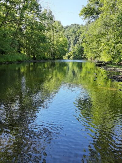 Virginia Blue Ridge Railway Trail (Piney River Trailhead) - Piney River, VA