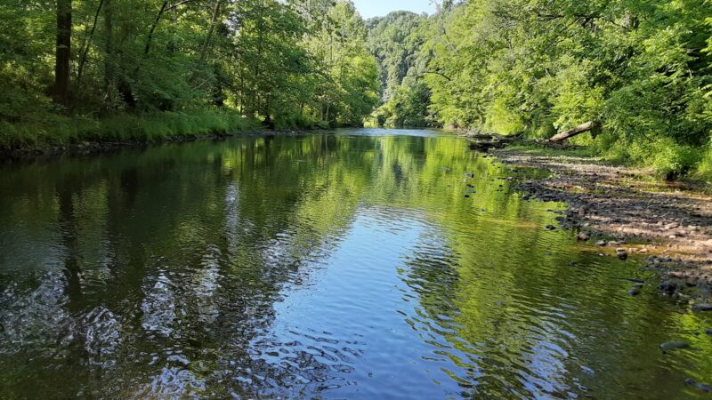 Virginia Blue Ridge Railway Trail (Piney River Trailhead) - Piney River, VA