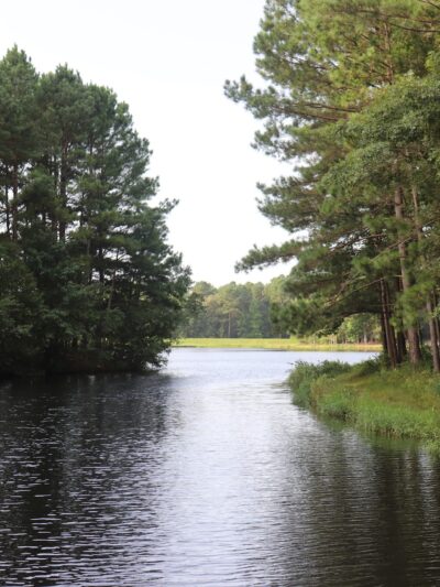 Cabin Lake Recreation - Pink Hill, NC