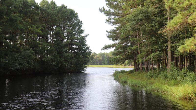 Cabin Lake Recreation - Pink Hill, NC