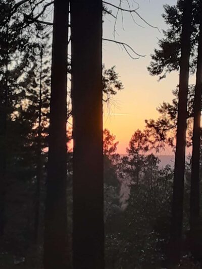 Pioneer Park - Pioneer, CA
