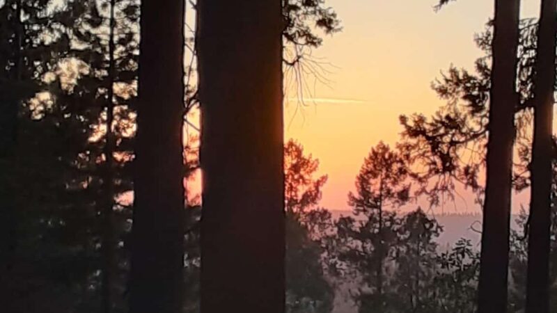 Pioneer Park - Pioneer, CA