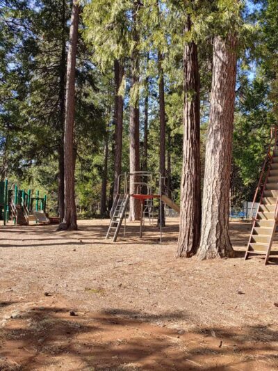 Pioneer Park - Pioneer, CA