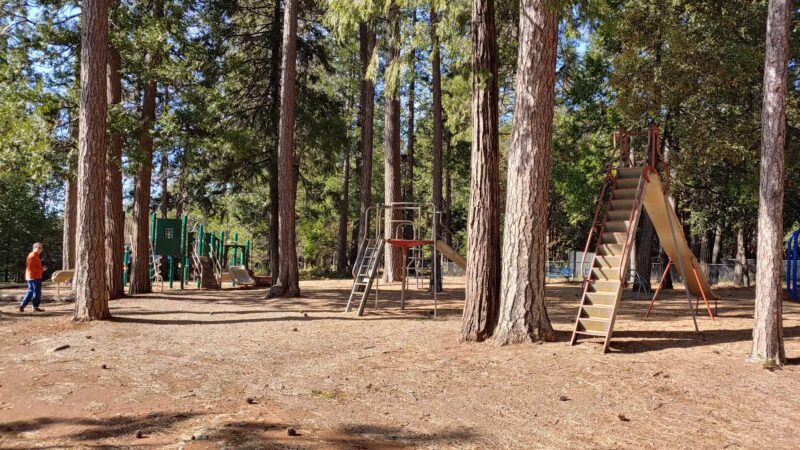 Pioneer Park - Pioneer, CA