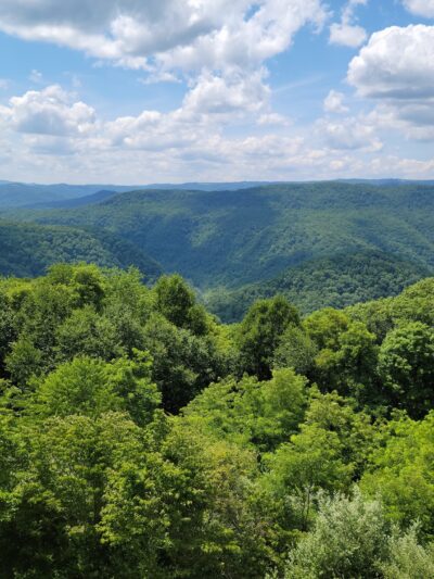 Pipestem Resort State Park - Pipestem, WV