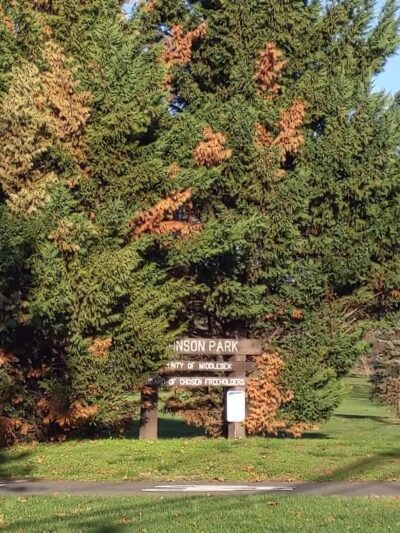 Johnson Park - Piscataway, NJ