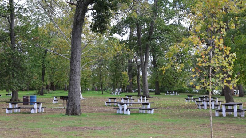 Johnson Park - Piscataway, NJ