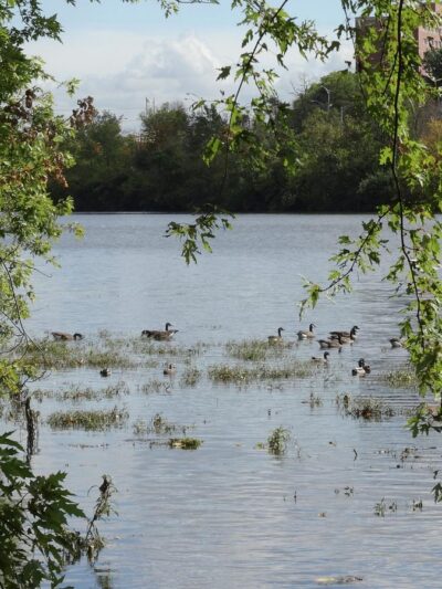 Johnson Park - Piscataway, NJ