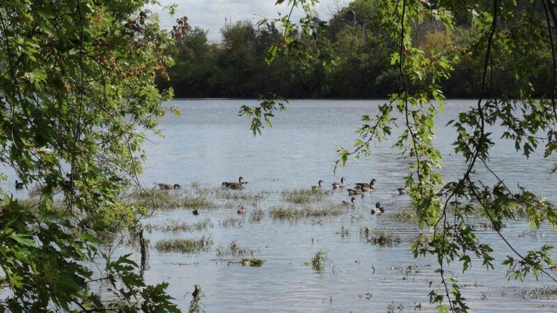 Johnson Park - Piscataway, NJ