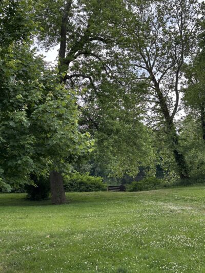 Johnson Park - Grove 5 - Piscataway, NJ