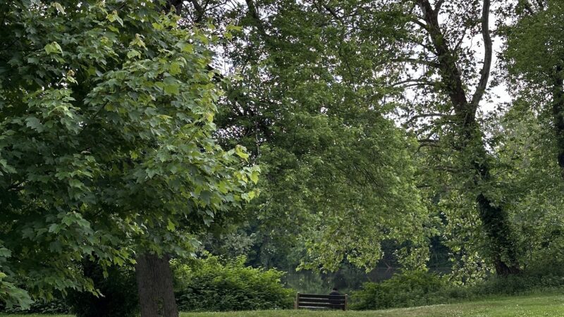 Johnson Park - Grove 5 - Piscataway, NJ