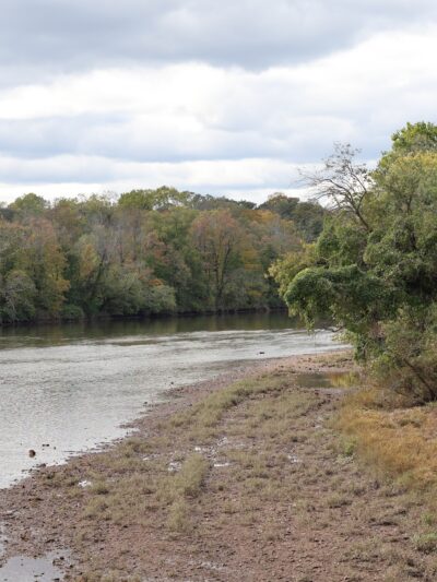 Johnson Park - Grove 5 - Piscataway, NJ