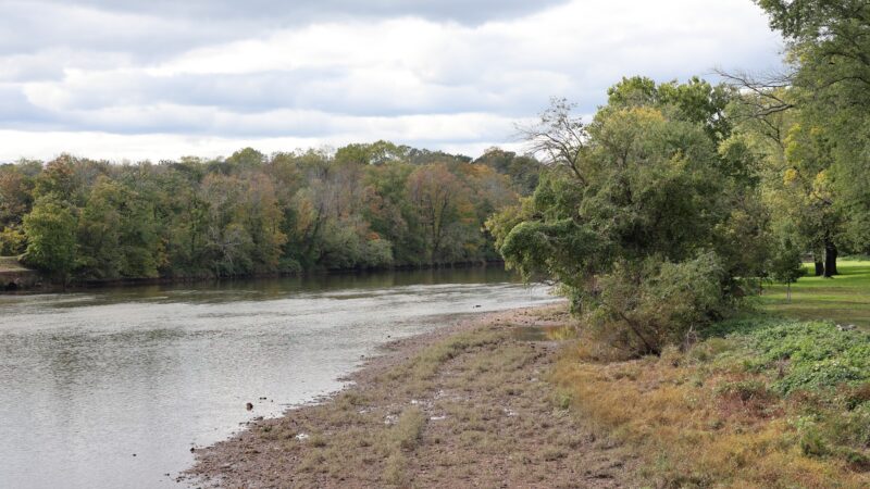 Johnson Park - Grove 5 - Piscataway, NJ