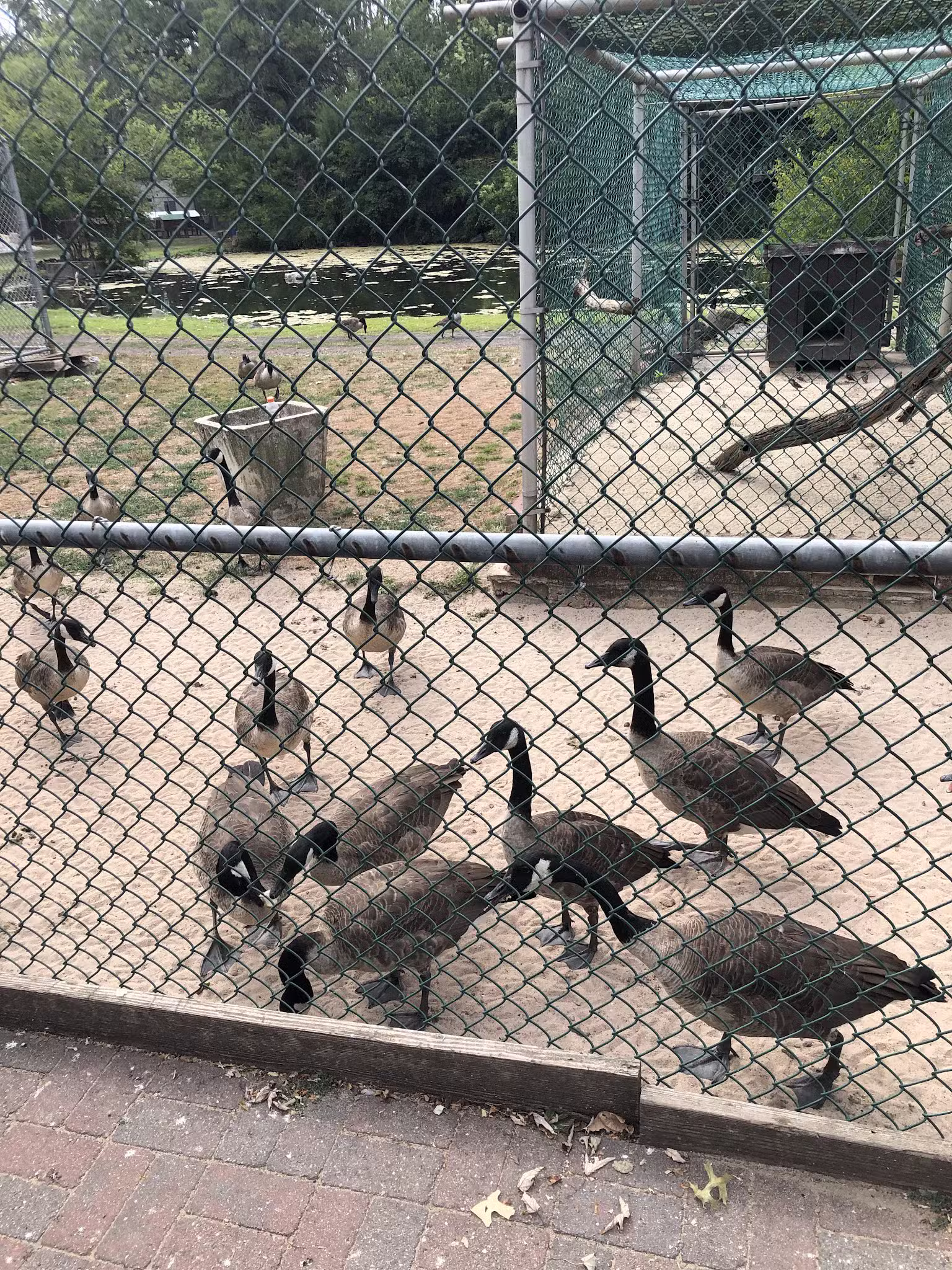 Johnson Park - Piscataway, NJ