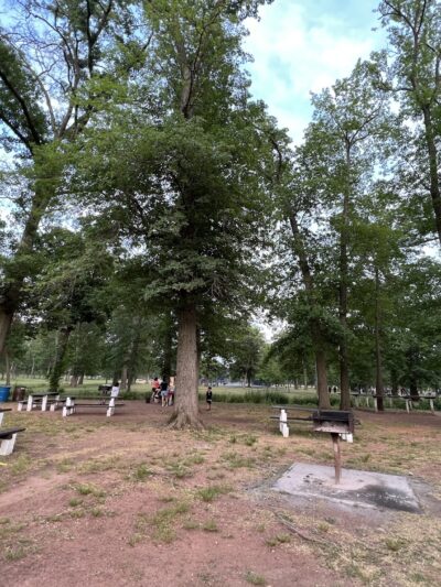Johnson Park - Grove 2 - Piscataway, NJ