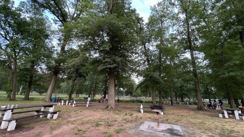 Johnson Park - Grove 2 - Piscataway, NJ