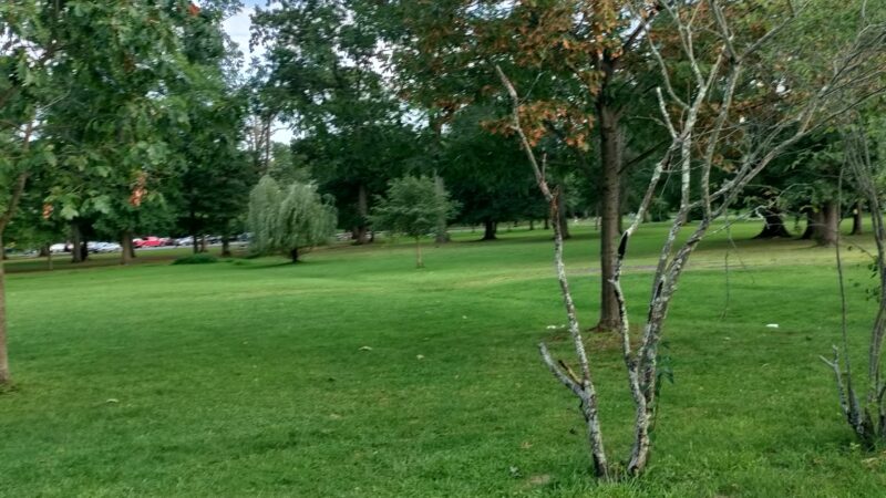 Johnson Park - Grove 2 - Piscataway, NJ