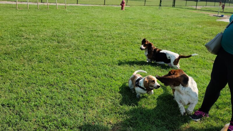 Ronald O. Thomas Dog Park - Pittsburg, KS