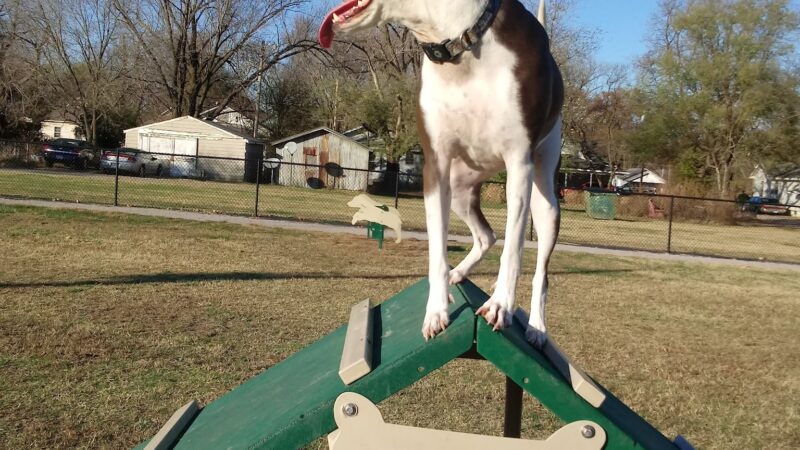 Ronald O. Thomas Dog Park - Pittsburg, KS
