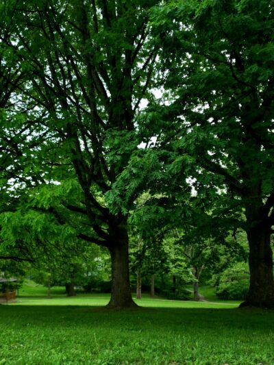 Baldwin Manor Park - Pittsburgh, PA