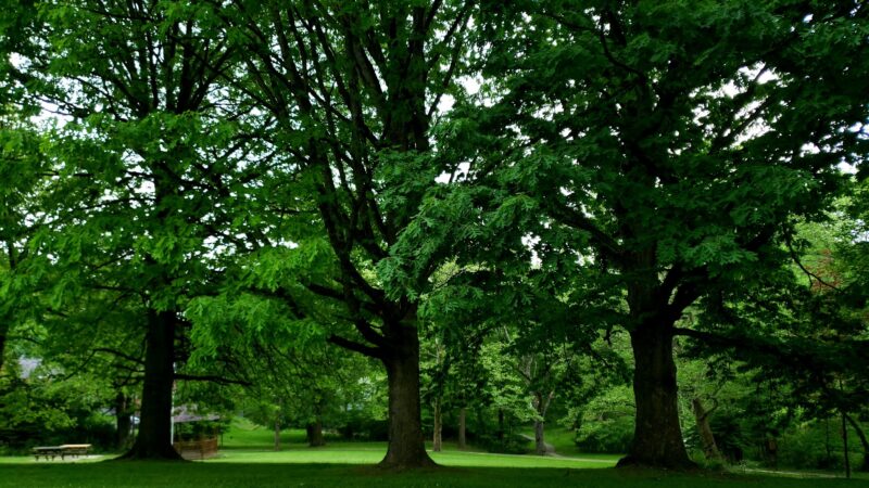 Baldwin Manor Park - Pittsburgh, PA