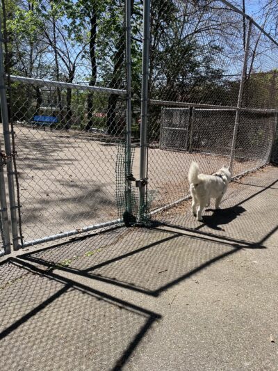 Dormont Dog Park - Pittsburgh, PA