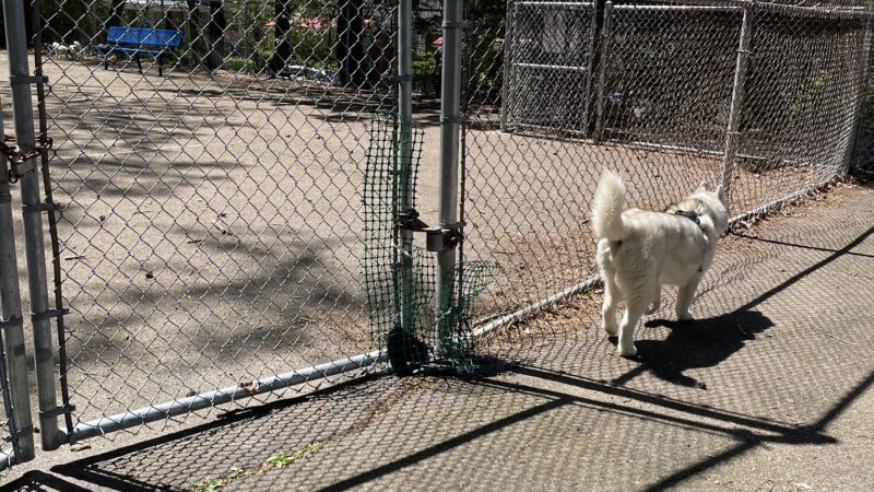 Dormont Dog Park - Pittsburgh, PA