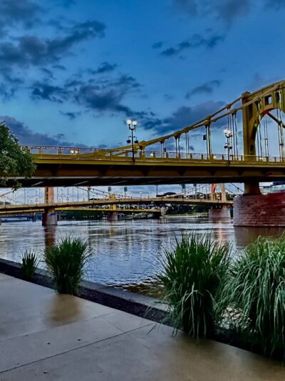 Downtown Dog Park - Pittsburgh, PA
