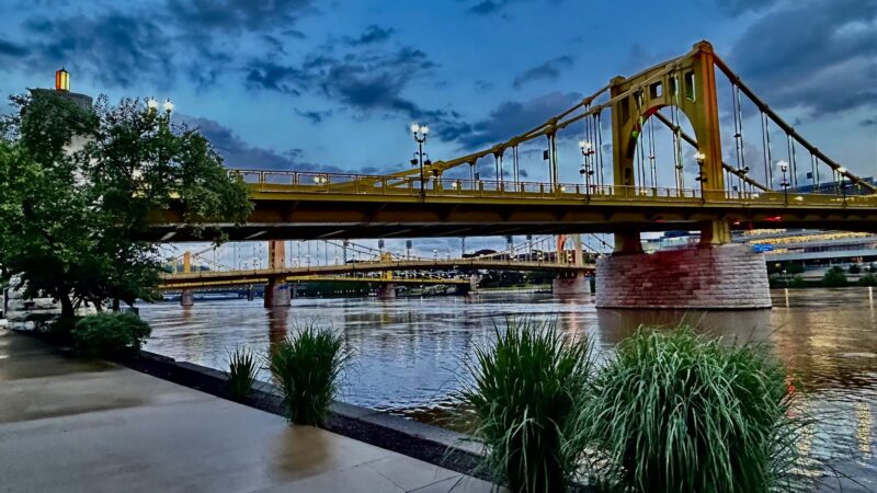Downtown Dog Park - Pittsburgh, PA