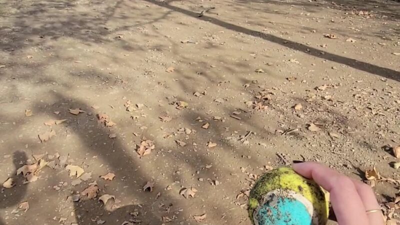 Downtown Dog Park - Pittsburgh, PA