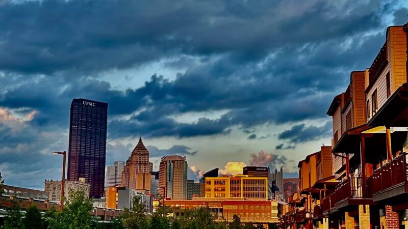 Downtown Dog Park - Pittsburgh, PA