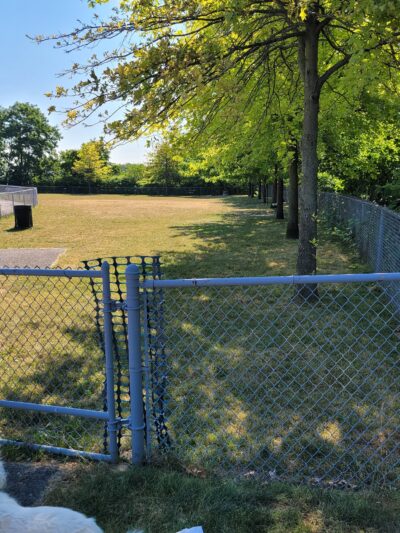 Green Tree Dog Park (Restricted, Residents Only) - Pittsburgh, PA