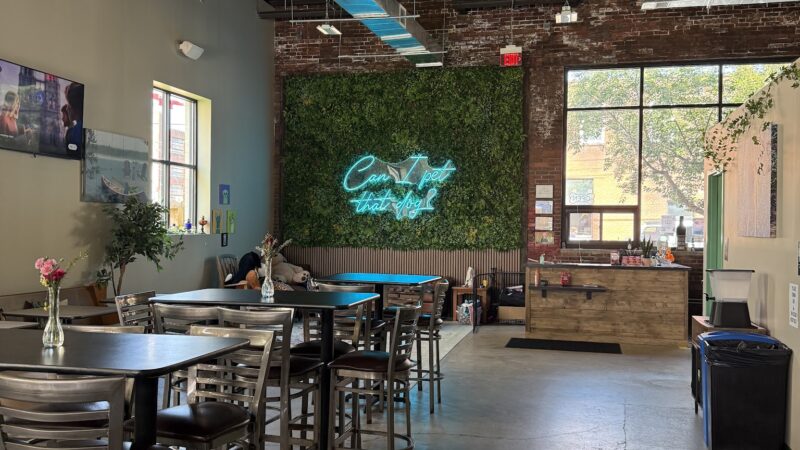 The Dog Penn - Pittsburgh, PA