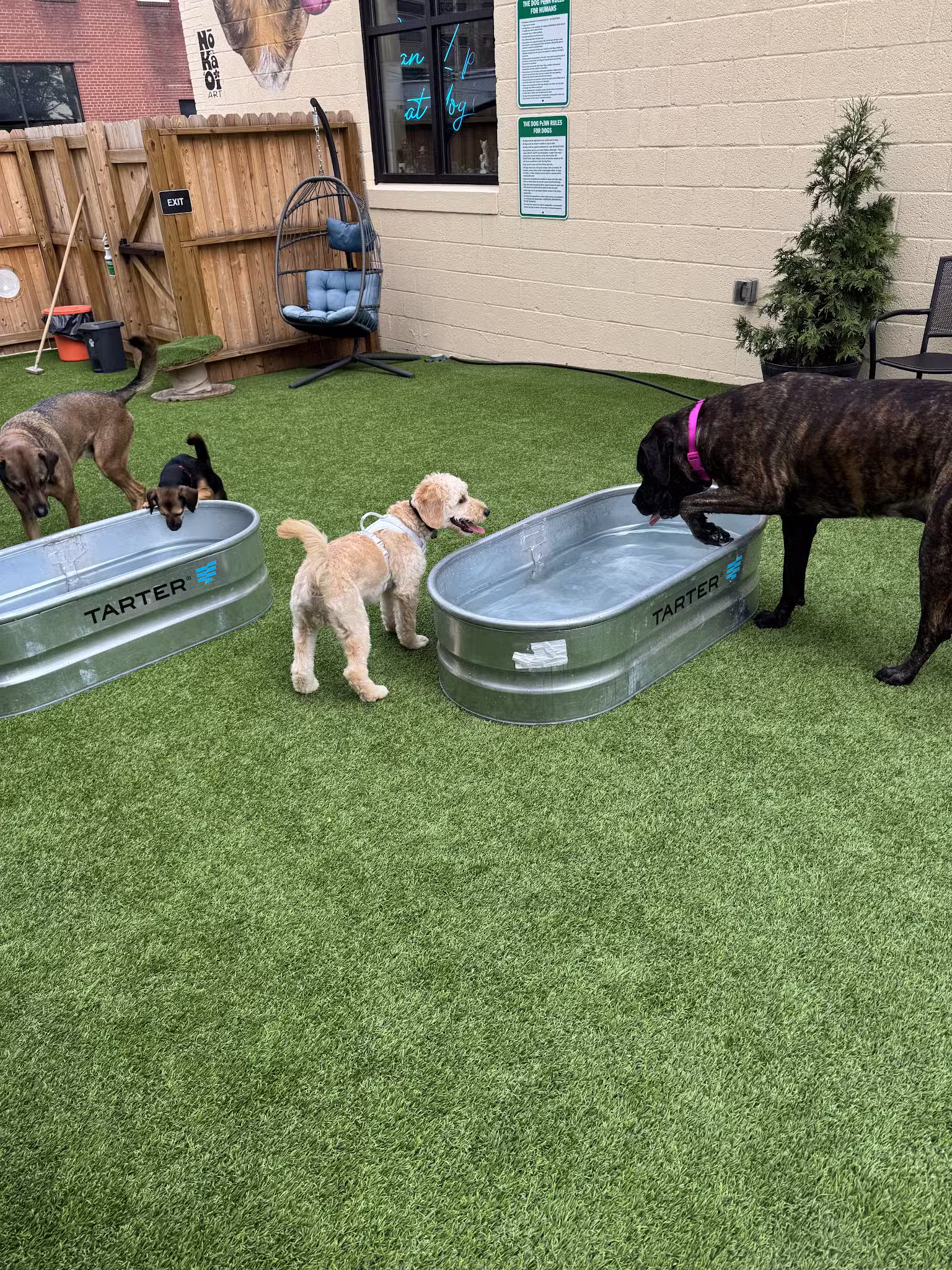 The Dog Penn - Pittsburgh, PA